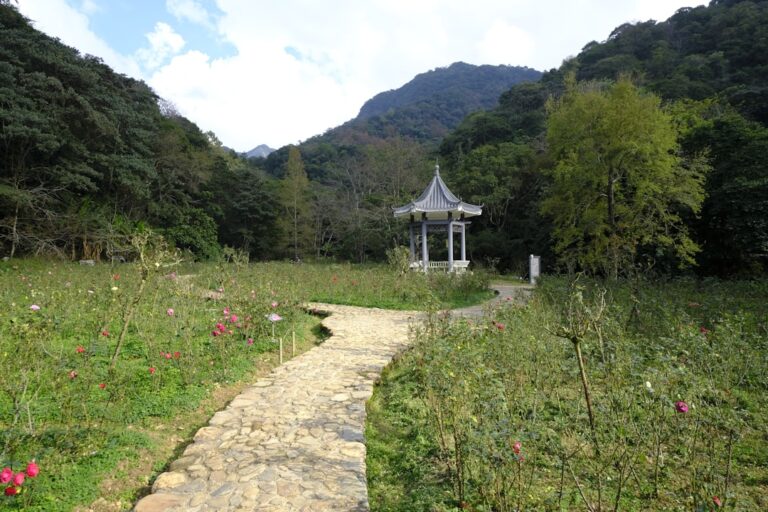 Photo natural garden